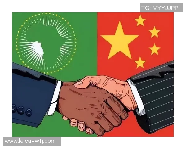 中国与尼日利亚精彩对决回放全程回顾与分析