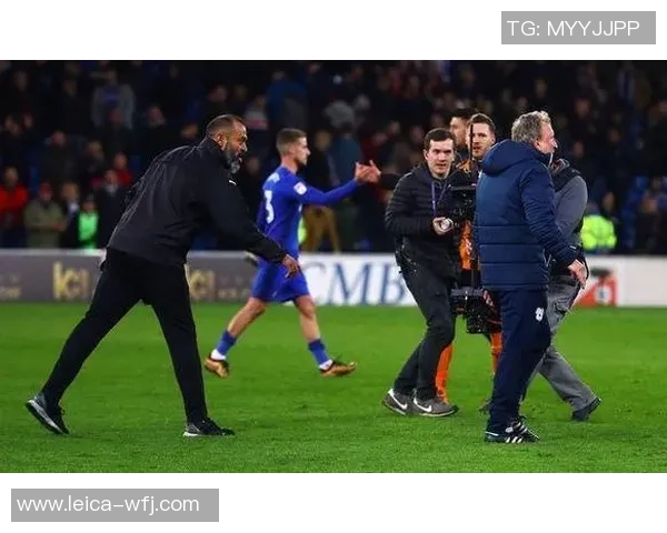 加的夫城对阵狼队精彩比赛回顾与战术分析 加的夫城对阵狼队精彩比赛回顾与战术分析