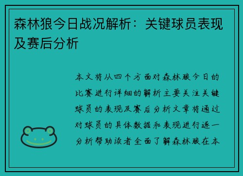 森林狼今日战况解析：关键球员表现及赛后分析