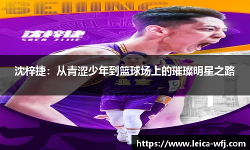 YY易游全站